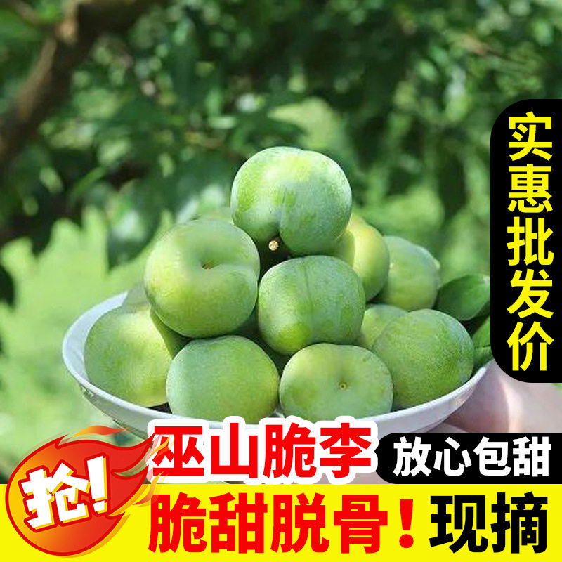 重庆巫山李子当季新鲜水果巫山脆李