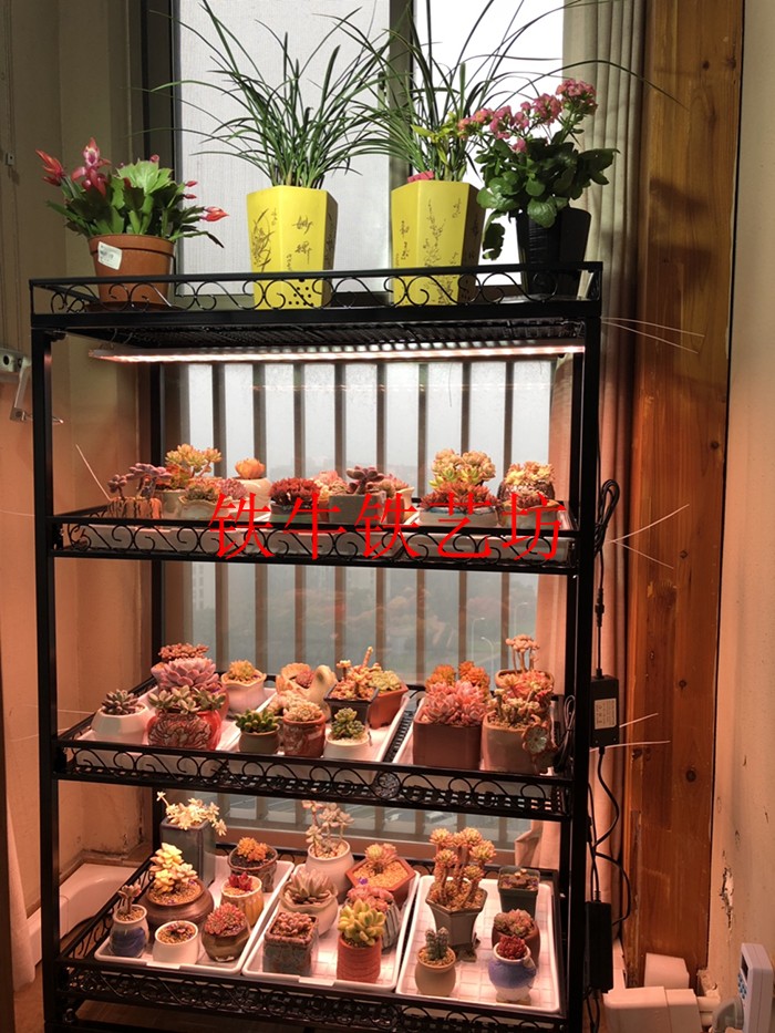 7K铁牛室内多肉植物补光灯花架多层可移动带轮多肉锥花盆架子