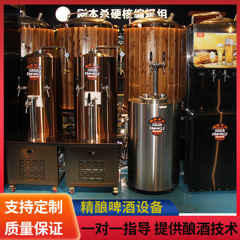 小型生产啤酒机械 精酿酿酒设备 酿造精酿啤酒的机械 送技术配方