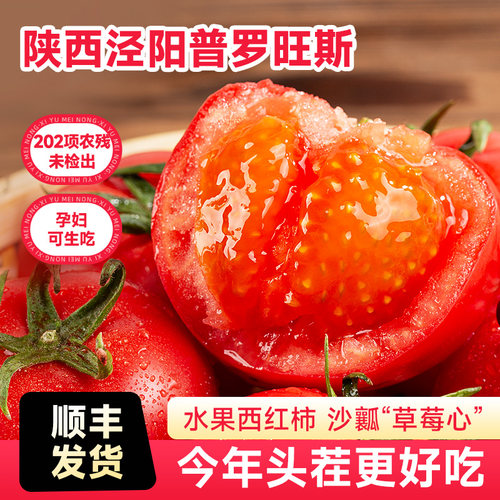 陕西泾阳普罗旺斯西红柿沙瓤番茄