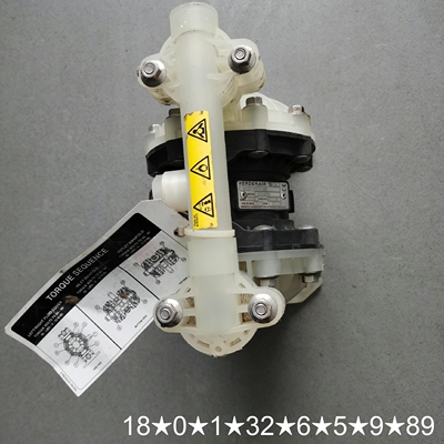 VERDERAIR 弗尔德气动隔膜泵 VA15PP-PPTF