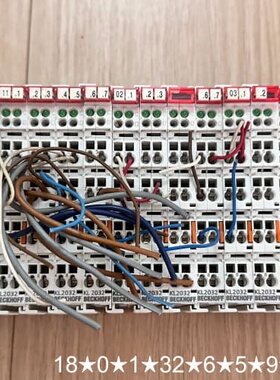 KL2032数字输模块，24V DC，0.5A输。德