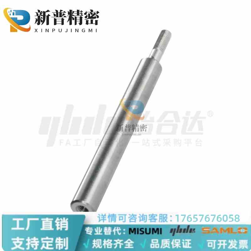 SHA01 02 06 07/SHB01 02 06-D8 10 35 40-L20-E2-P6 一端导向轴