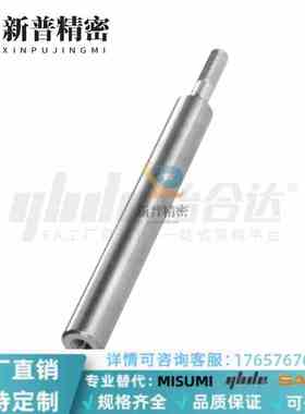 SHA01 02 06 07/SHB01 02 06-D8 10 35 40-L20-E2-P6 一端导向轴
