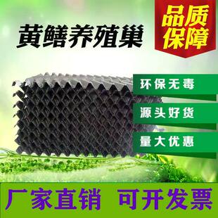 黄鳝巢穴鳝巢人工养殖巢塑料黄鳝窝蚂蟥水蛭板养殖设备塑料蜂窝巢