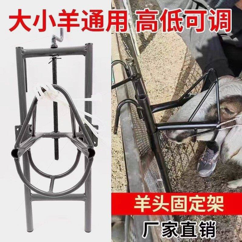 德国品质剪羊毛固定架升降羊头架子羊用保定架配种喂药修蹄绵羊笼