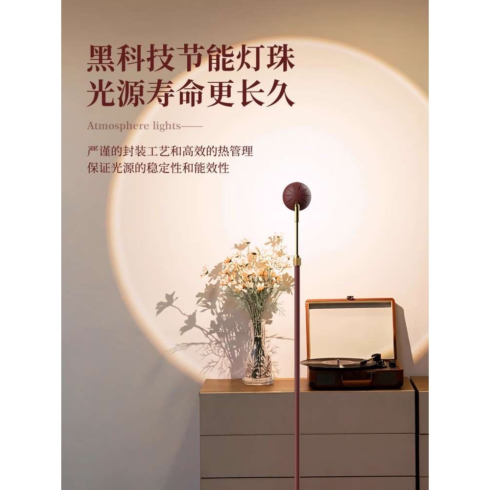艺术感落地灯客厅沙发旁边高级感轻奢落地氛围灯卧室网红落地台灯