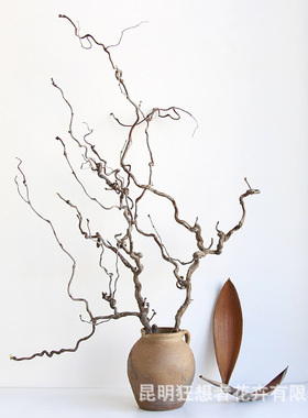 狂想者新品【天然龙枣枝】原木家居摆件装饰龙爪插花禅意干花艺术