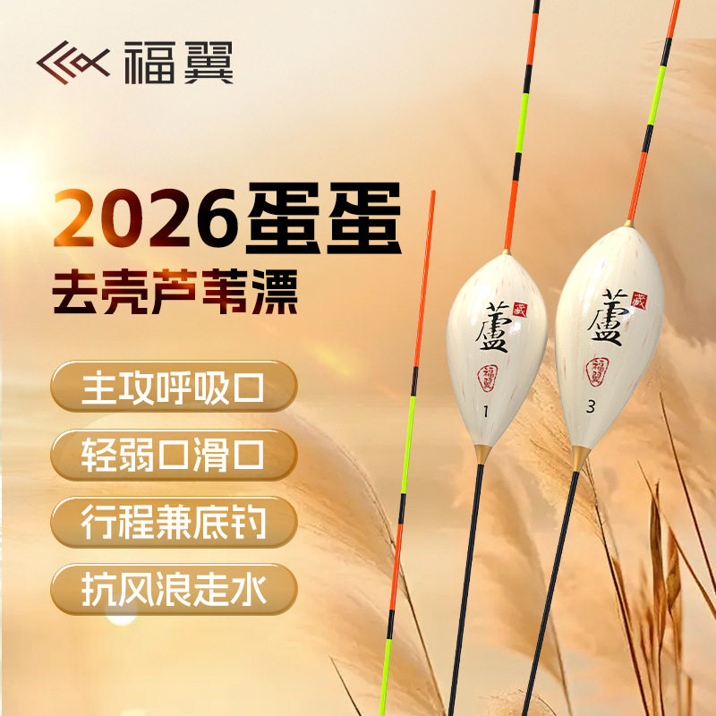 福翼鸽子蛋芦苇浮漂冬季轻口鲫鱼