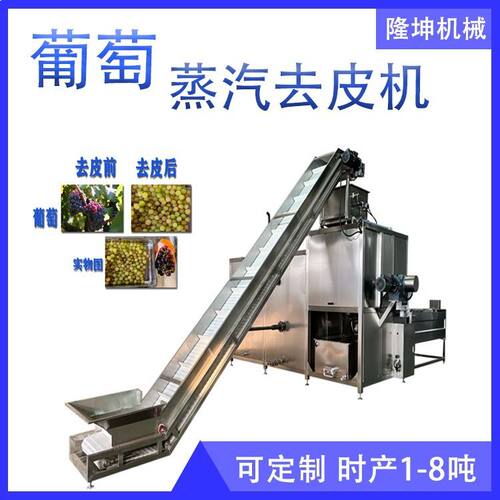 隆坤蒸汽去皮机 葡萄桃子蒸汽脱皮机器 速冻葡萄粒黄桃瓣去皮设备