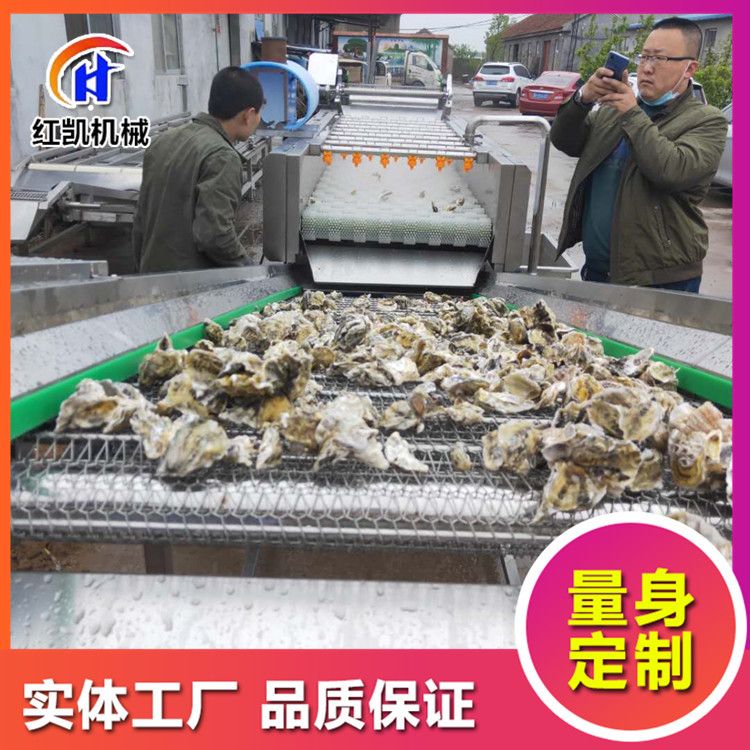 大连牡蛎扇贝毛辊清洗机 生蚝美贝高压喷淋毛刷清洗机 贝壳类