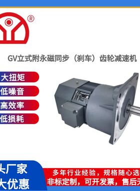 GV立式永磁同步三相异步电动机100W200W400W齿轮减速电机减速机