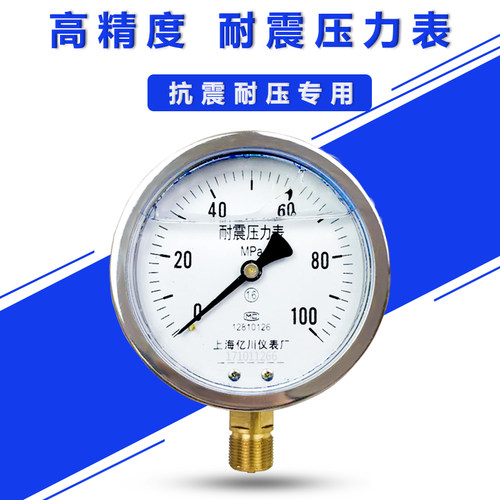耐振YN100耐震压力表0-0.6/1/1.6/2.5/MPA抗震防震动进油压力表
