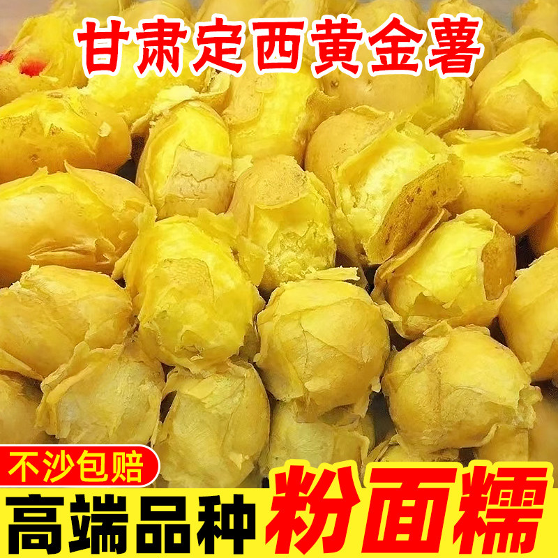 2026甘肃定西黄金薯当季黄皮洋芋马铃薯蔬菜粉糯新鲜黄心沙面土豆