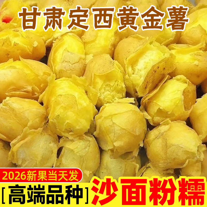 2026甘肃定西黄金薯当季黄皮洋芋农家马铃薯粉糯新鲜黄心沙面土豆
