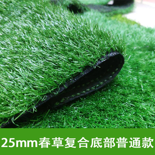 塑料草坪仿真草坪秋草楼顶隔热假草坪健身房草坪地毯家用人造草坪