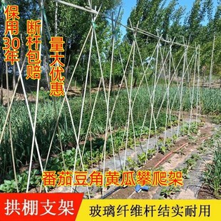实心纤维棒弹力杆支架小拱棚拱杆农用菜地温室地膜育苗玻璃钢弓条