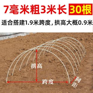30根菜棚保温棚花棚农用小拱棚支架拱竿骨架玻璃钢纤维杆弹力棒