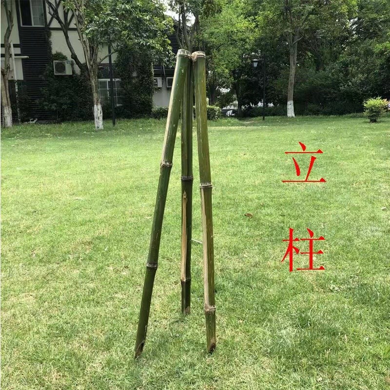 伸缩竹片陕西g栅栏护栏花园围墙篱笆园艺装饰竿庭院菜园围栏爬藤