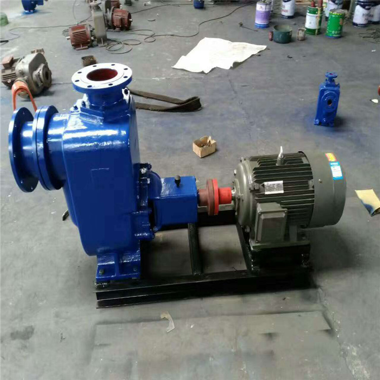 ZW铸铁自吸式排污泵 耐腐蚀自吸泵 高扬程污水自吸泵100ZW100-30