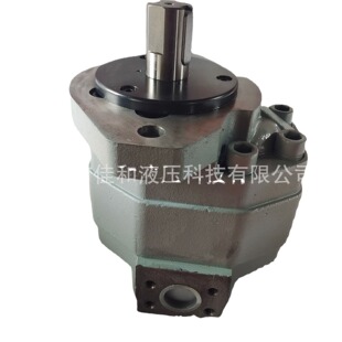 CBL5200 长江液压齿轮泵 A1R高压齿轮泵 B1R 厂家现货CBL5160