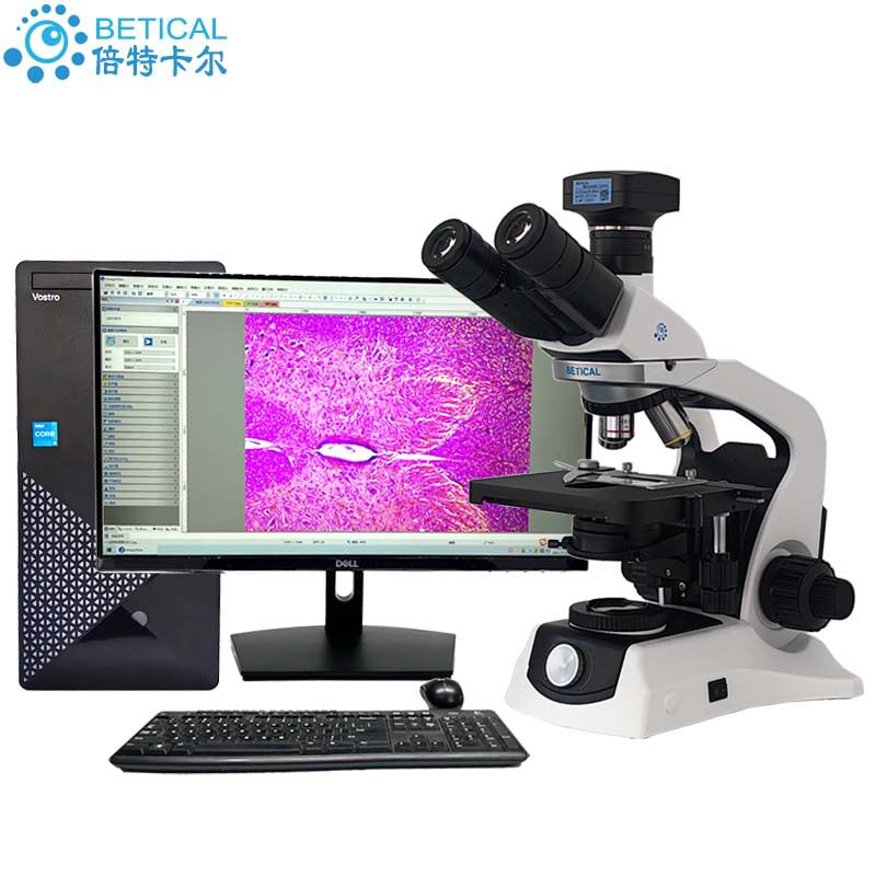 三目生物显微镜USB3.0相机