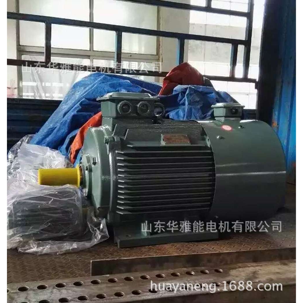 YXM-315M-4-132电机喇叭口接线盒YXM电机山舞银蛇欲与天公试比高