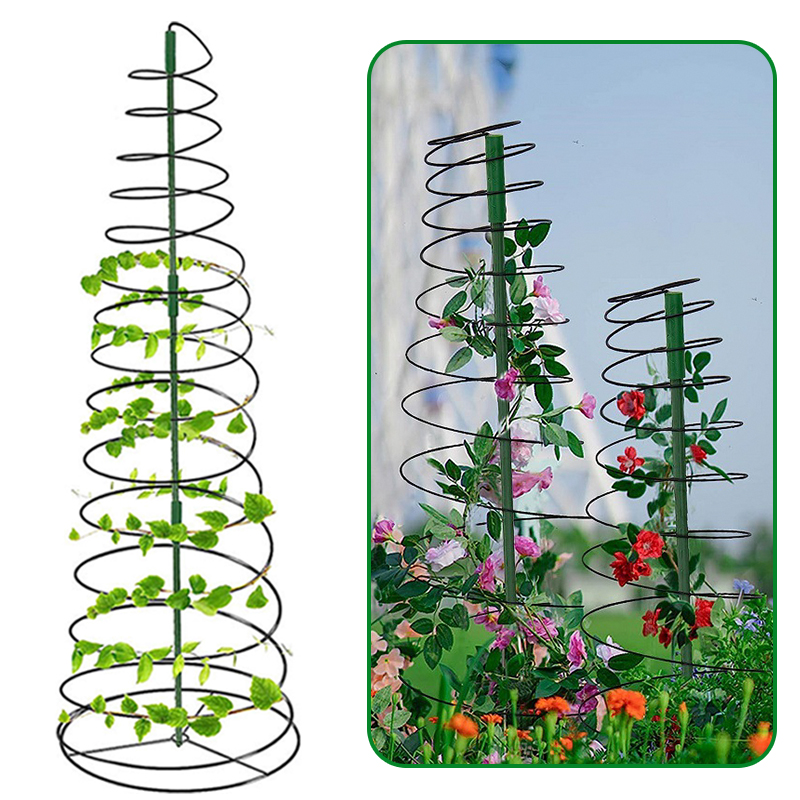 植物支撑螺旋架植物可伸缩蔓藤植物爬藤架黄金葛支伸缩杆室外攀爬