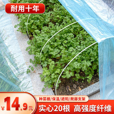 玻璃纤维拱棚支架家用 新型搭棚配件种菜地膜蔬菜棚