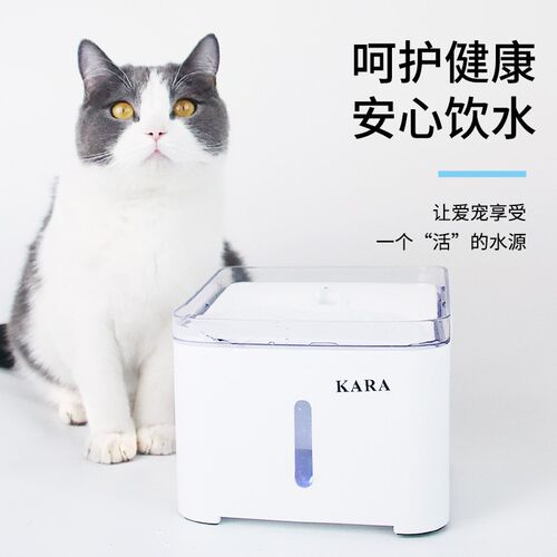 猫咪饮水机自动过滤活水电动饮水机智能过滤呵护猫咪健康饮水机