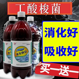 丁酸梭菌水产em菌种鱼虾蟹塘对虾养殖调节肠道白便空肠空胃乳酸菌