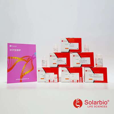 D102010×DNA上样缓冲液分子生物学科研用