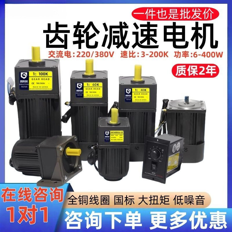 220V/380V可调变速齿轮电机