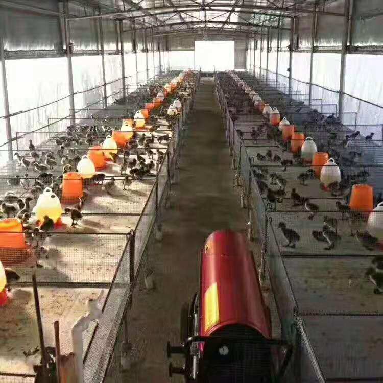 河北沧州蔬菜大棚用工业用取暖燃油热风机养殖育雏用暖风机现货