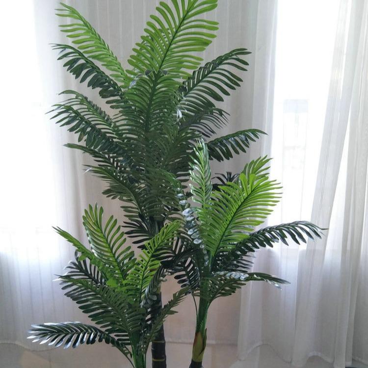 仿真植物散尾树酒店室内花卉盆景装饰散尾树仿真植物