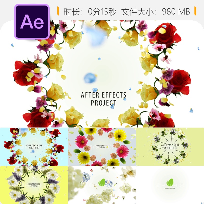 春日婚礼花朵绽放AE模板LOGO动画花瓣飘舞爱情庆典玫瑰情人节