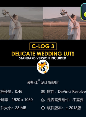 达芬奇婚礼电影调色预设合集 专业CLog3色彩校正LUT合集