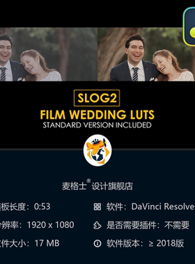 达芬奇婚礼电影胶片调色预设Slog2风格专业LUTs色彩合集