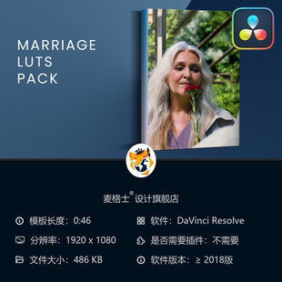 专业级色彩校正工具集 达芬奇婚礼电影调色LUT预设包