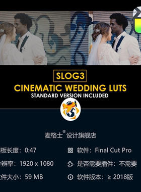 Slog3电影感婚礼调色LUT预设合集 支持FCPX达芬奇专业色彩校正