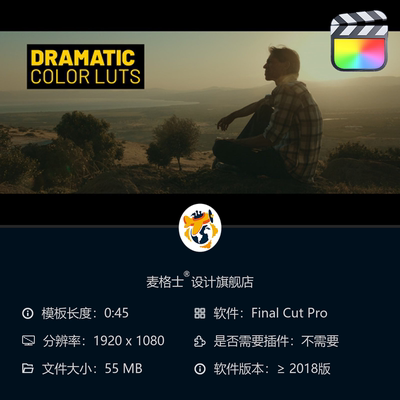 专业级FCPX电影调色LUTs包 支持ARRI与Blackmagic摄影机色彩校正