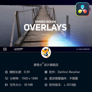 电影级光斑特效模板 达芬奇 艺术视觉调色工具包合集