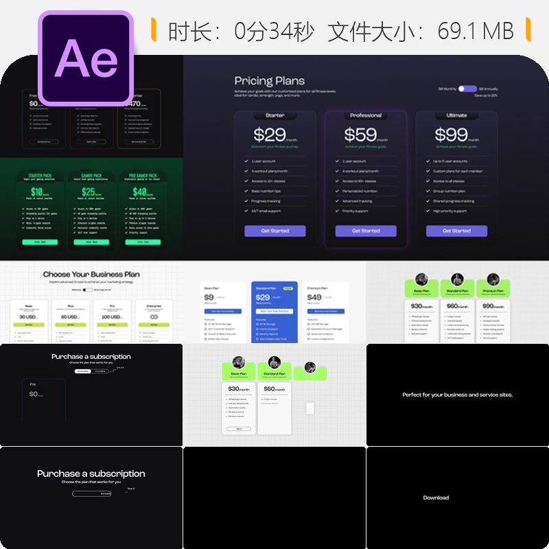 现代企业商务定价表AE模板动画数据图表设计素材定制选择方案