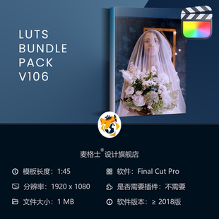支持航拍画面电影级色彩校正工具 FCPX专业影视调色LUTs预设包