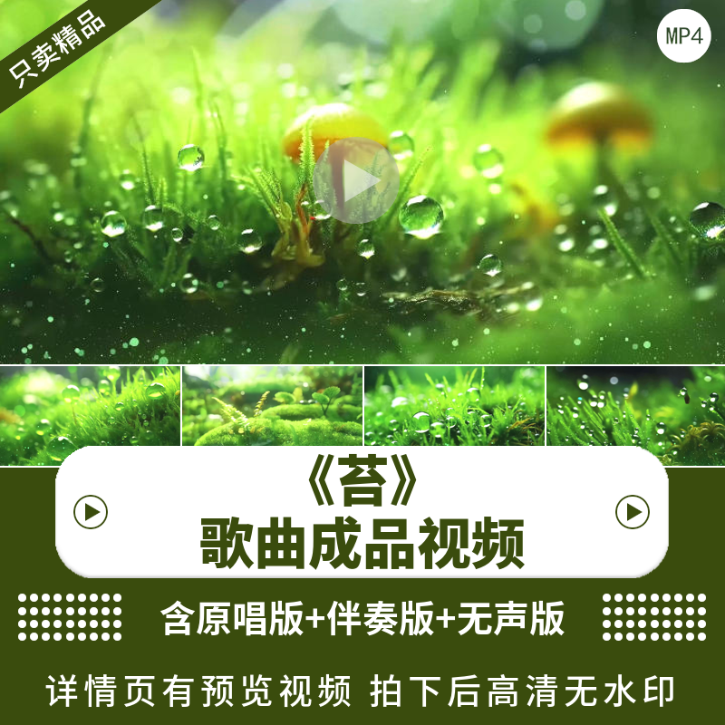 苔 原唱伴奏led背景视频素材动态大屏幕配乐伴奏成品高清舞台背景