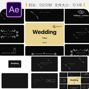 AE模板婚礼动画优雅企业品牌抖音自媒体AE工具合集
