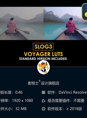 达芬奇专业电影调色LUT预设 Slog3航拍与标准风格合集
