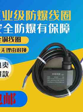 全铜新款上市防爆线圈092024V4WEXMBIIT4AC220V内孔9用4V2103V21