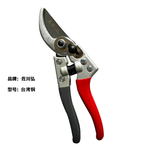sk5修枝剪日本果剪树修花园艺修枝省力家用园林绿化强果枝剪刀