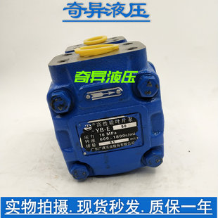E63 高压叶片泵液压泵YB E80广东广液牌 E50 E40 E32